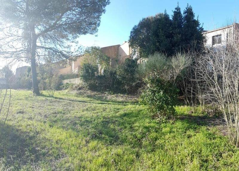 Terrain à MONTPELLIER