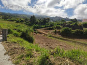 Terrain à SAINT-LEU