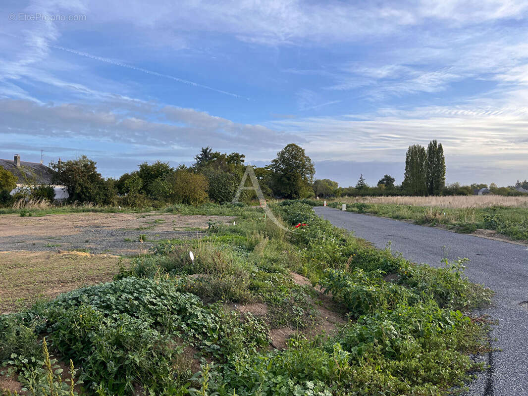 Terrain à LA MENITRE