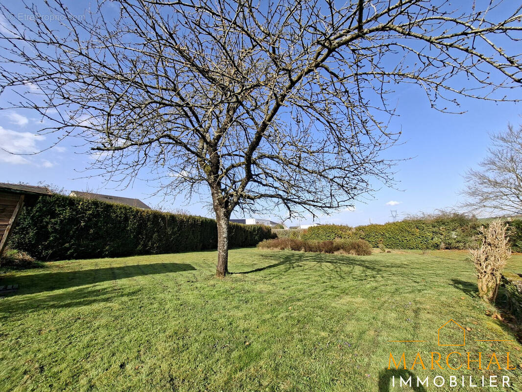 Terrain à MECLEUVES