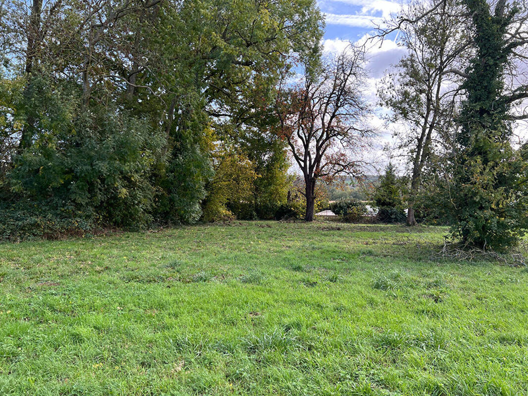 Terrain à QUINCY-VOISINS