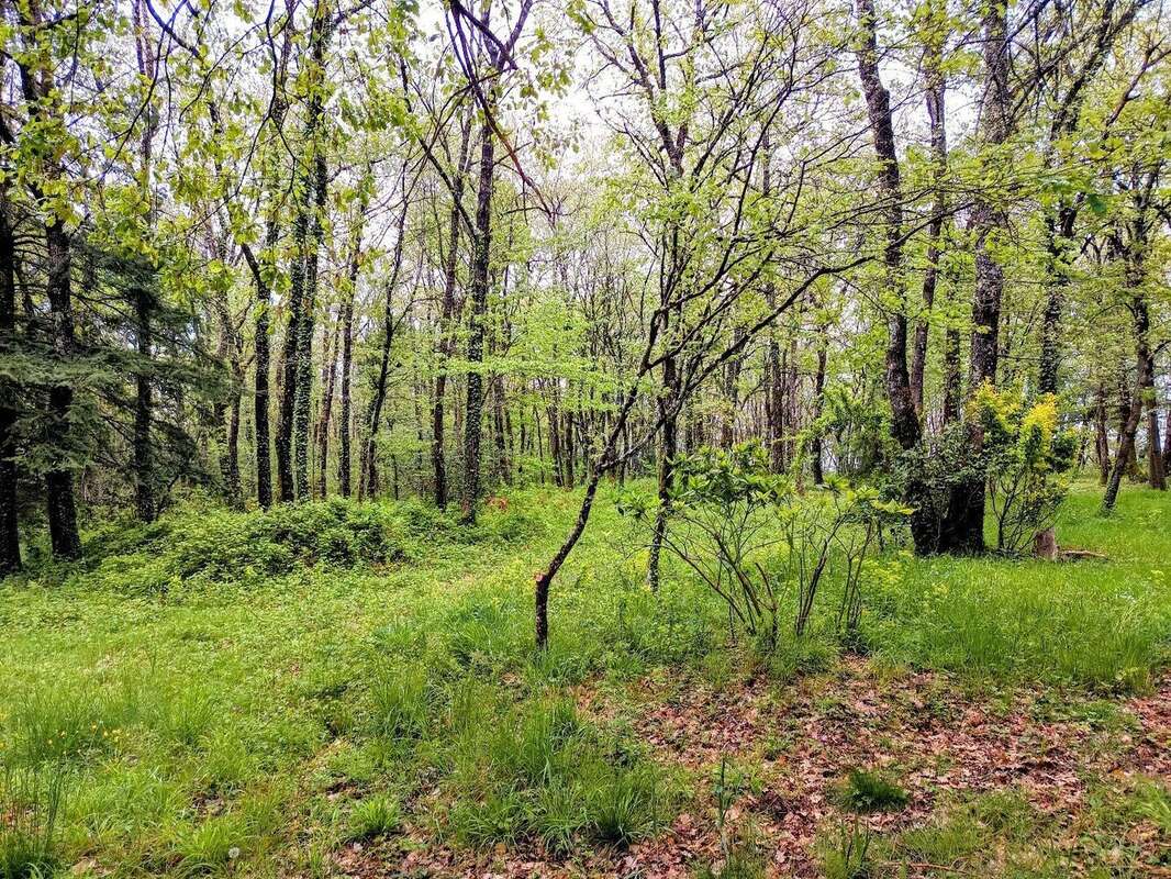 Maison 249 M2 sur terrain 14 hectares - photo 17