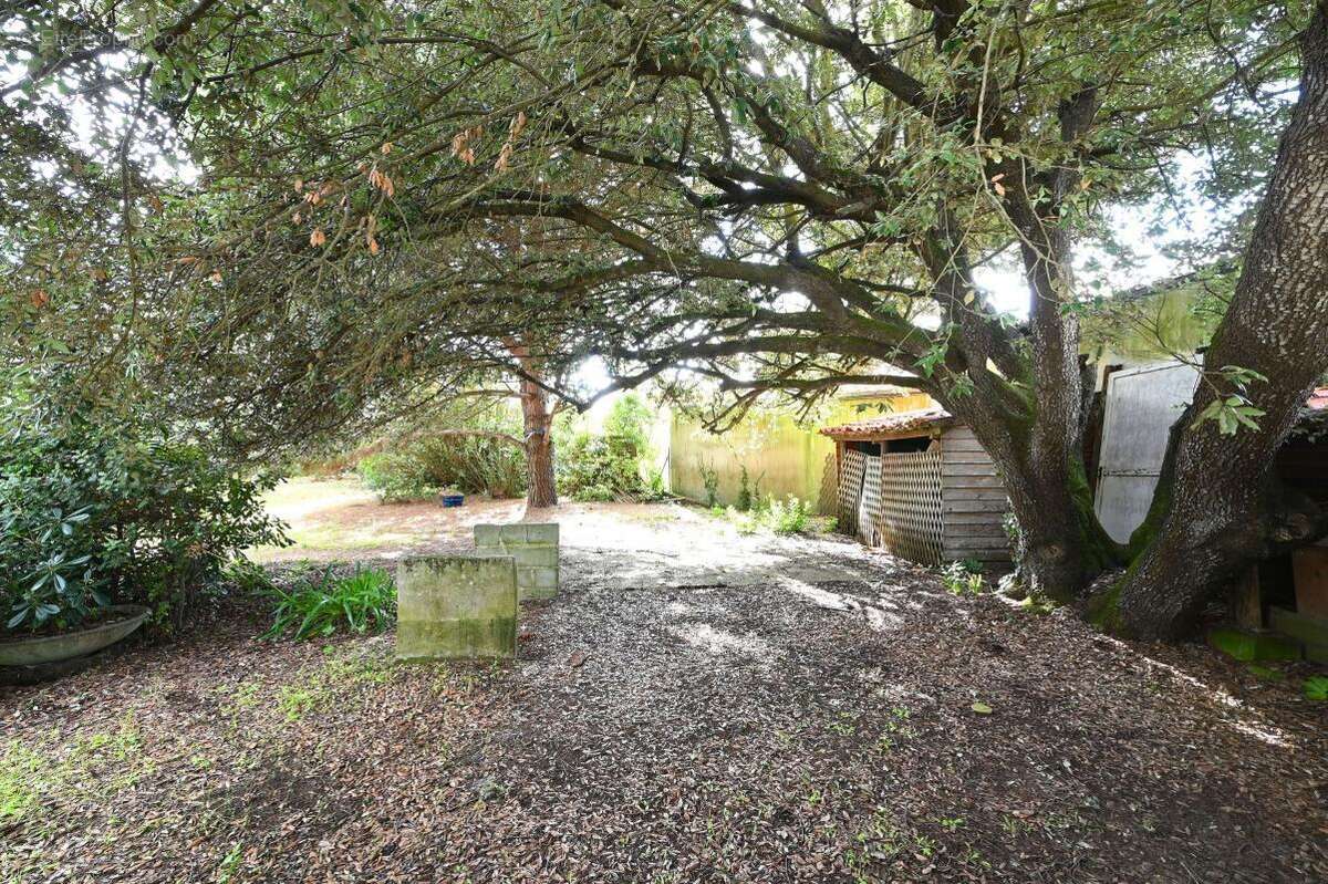 Maison à LA COUARDE-SUR-MER