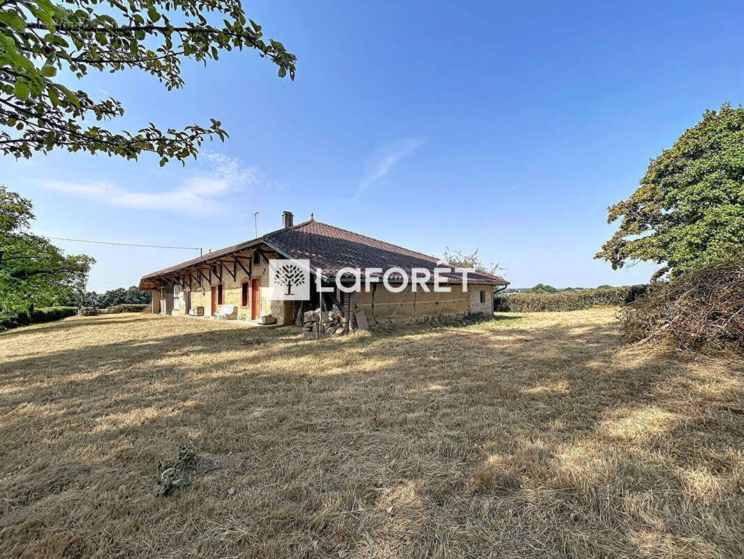 Maison Pirajoux 4 pièce(s) 112m2 - photo 4