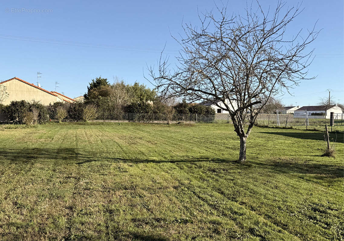 Terrain à BOURGNEUF-EN-RETZ