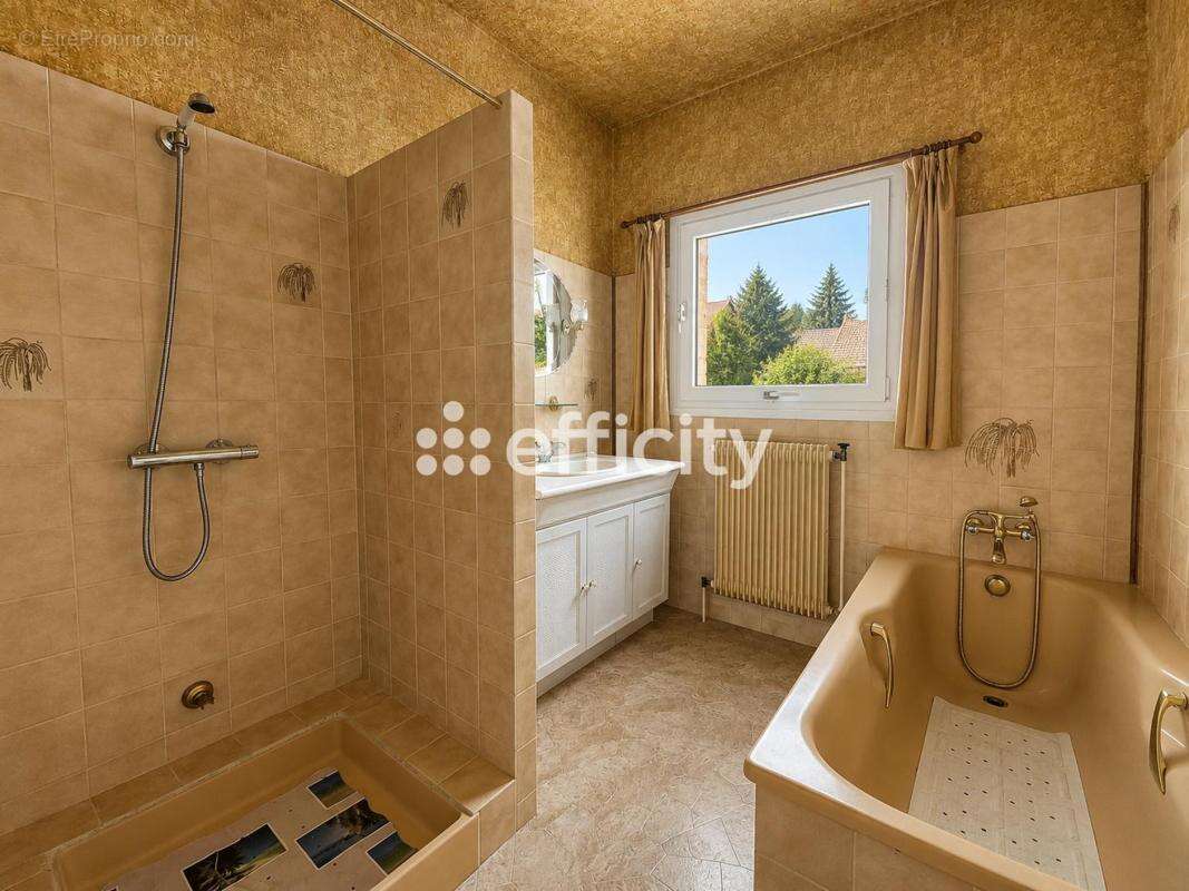 Maison 188 m² à Saint-Georges-De-Didonne  - photo 11