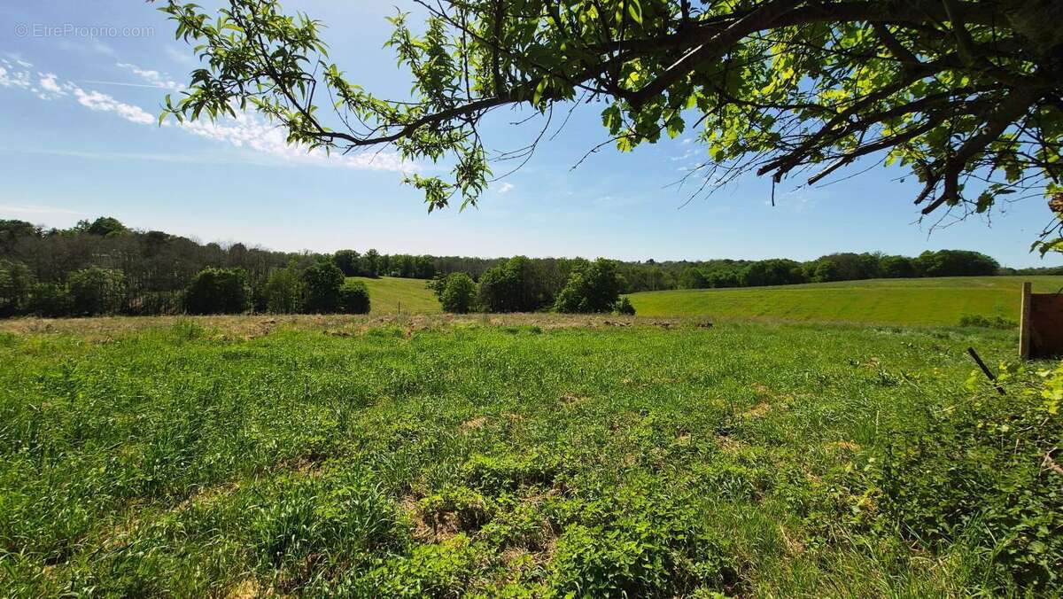 Maison à SAINTE-ALVERE
