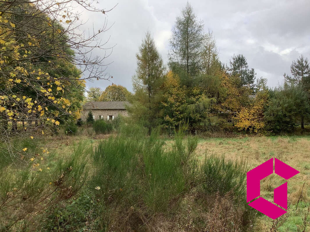 Terrain à LE CHAMBON-SUR-LIGNON