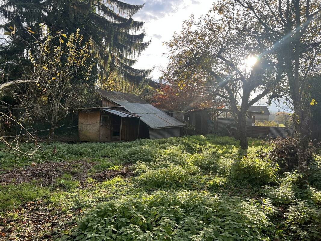 Terrain à VILLE-EN-SALLAZ