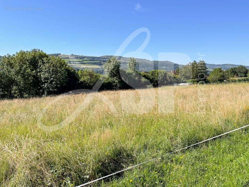 Terrain viabilisé (Lot 2) - Terrain à PANISSAGE