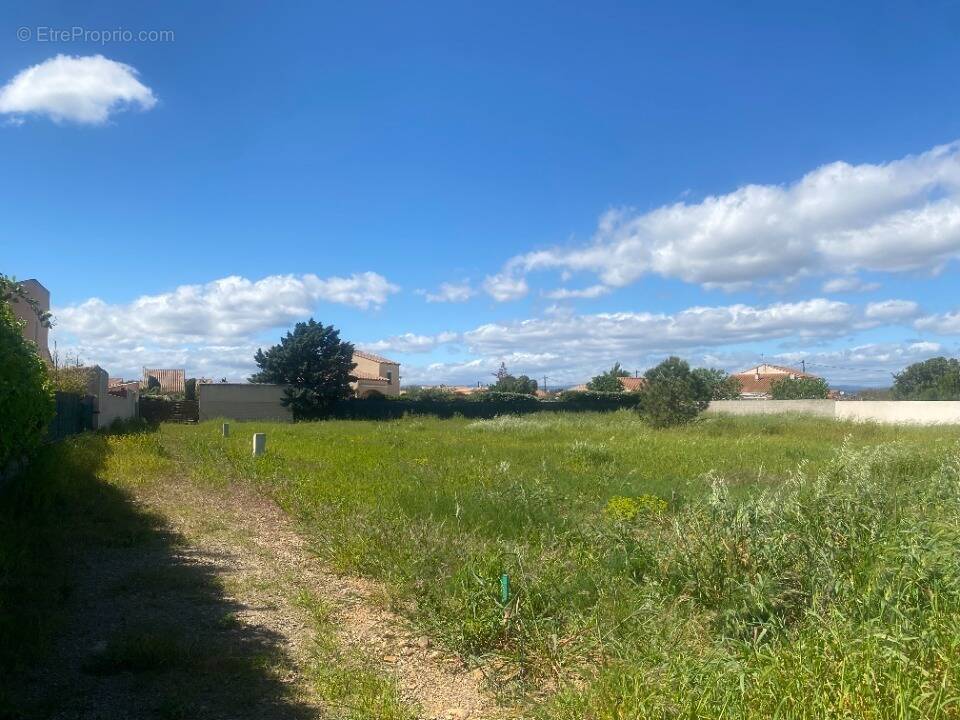 Terrain à SAINT-NAZAIRE-D'AUDE
