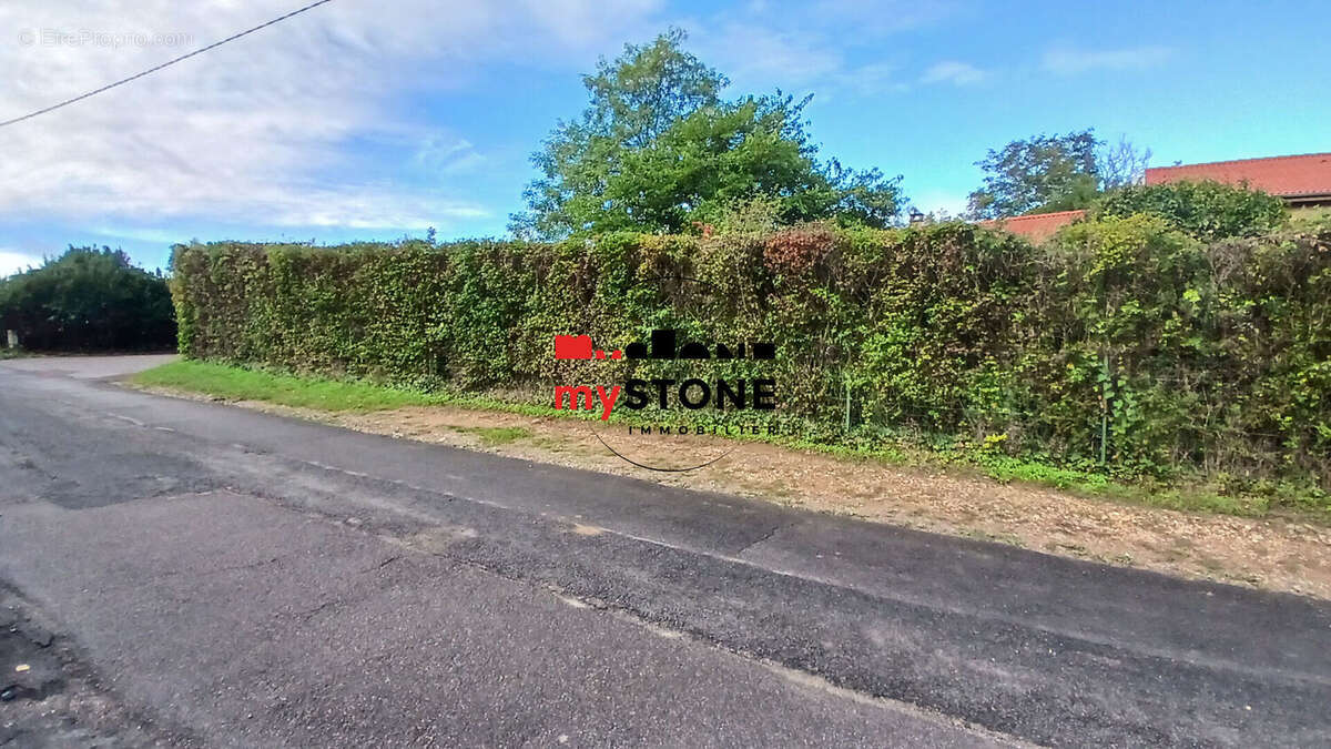 Terrain à SAINT-DIDIER-DE-FORMANS