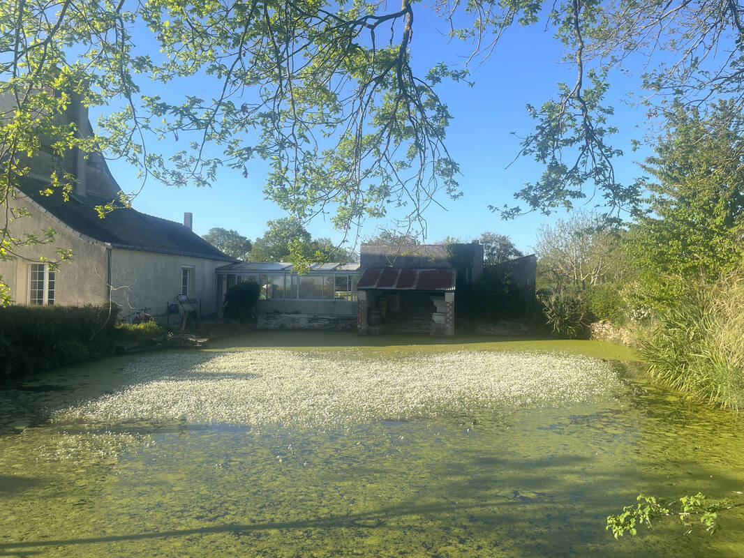 Maison à LIGNE