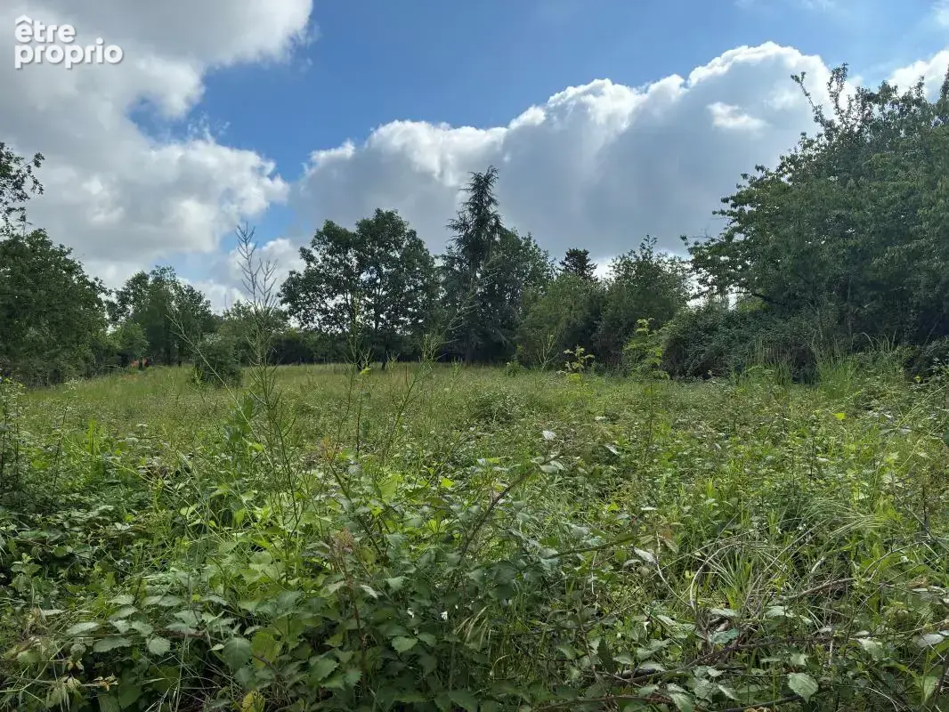 Terrain 1300 m² albi emplacement rare - photo 2