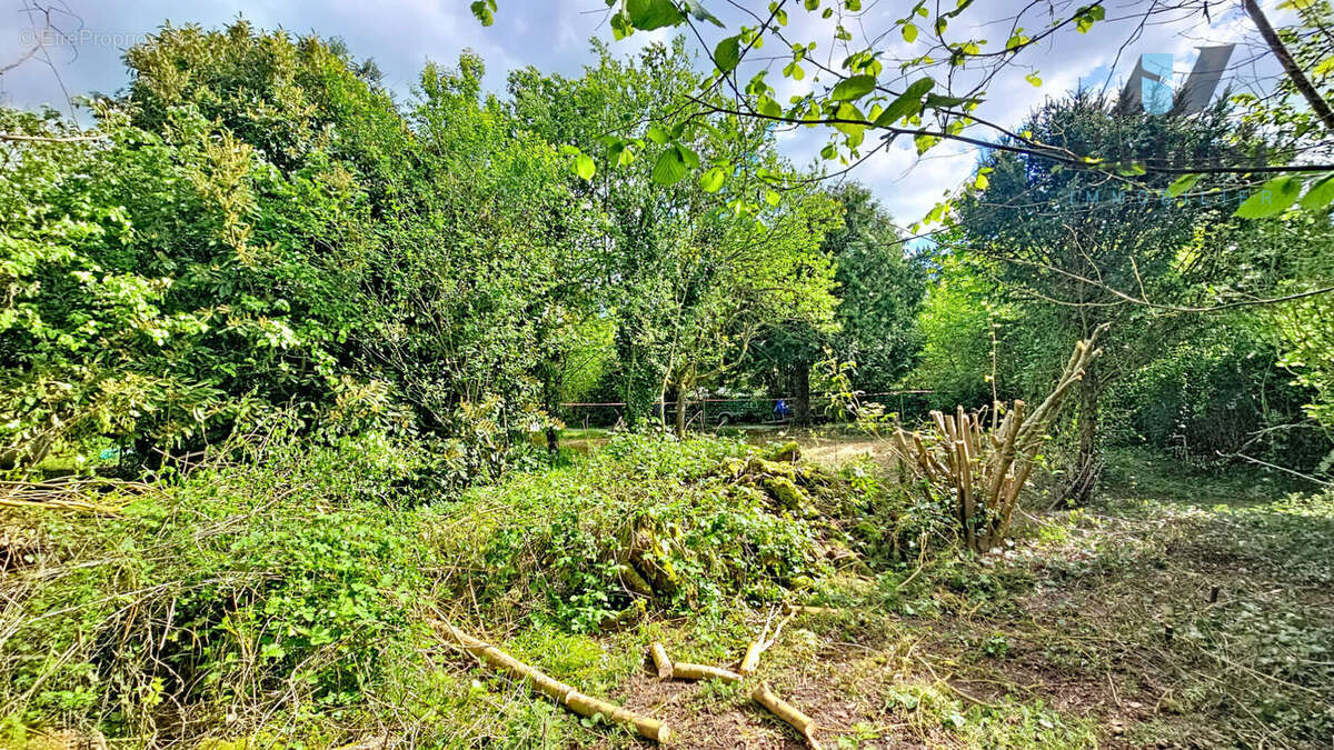 Terrain à AVON