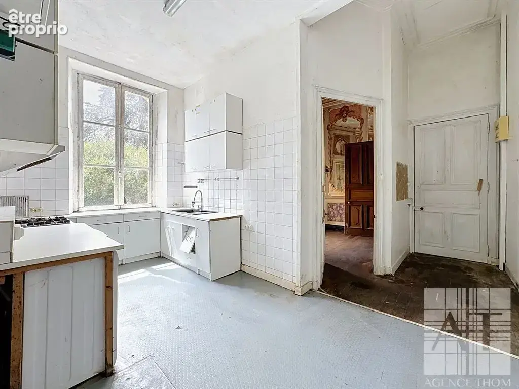 Château du Domaine avec parc de 4 084 m² - un projet de restauration unique! - photo 7