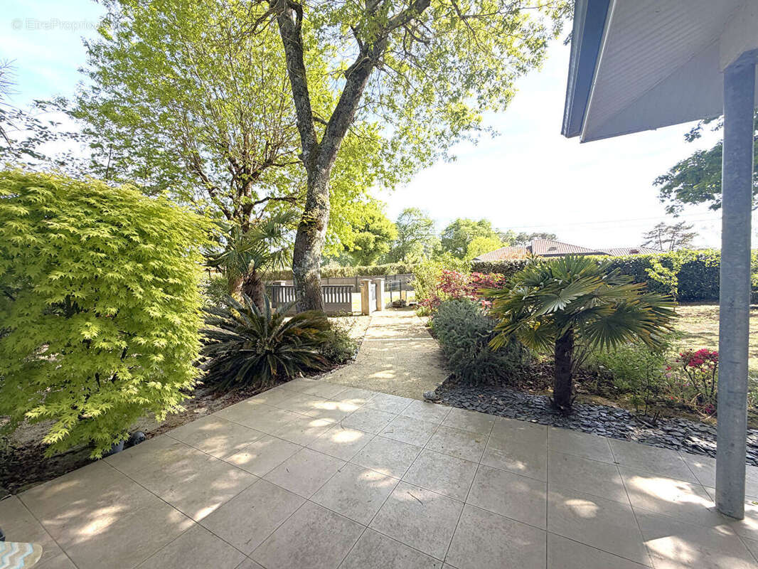 Maison à SAINT-GEOURS-DE-MAREMNE