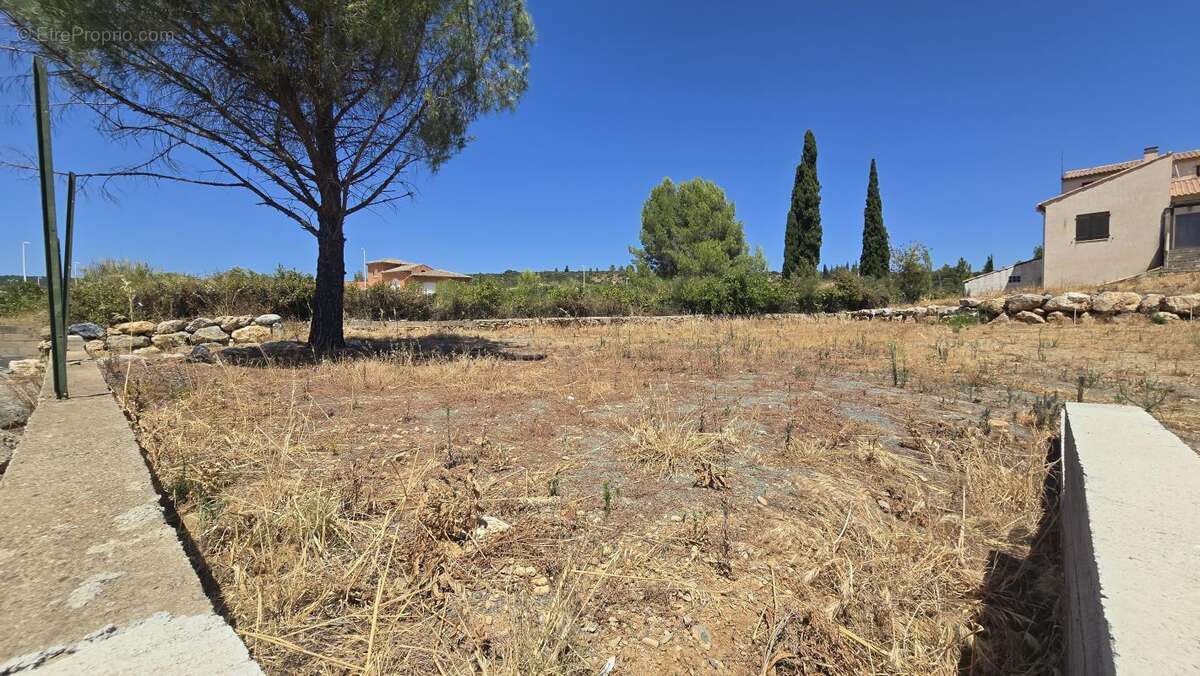Terrain 588 m² à Cessenon-Sur-Orb  - photo 2