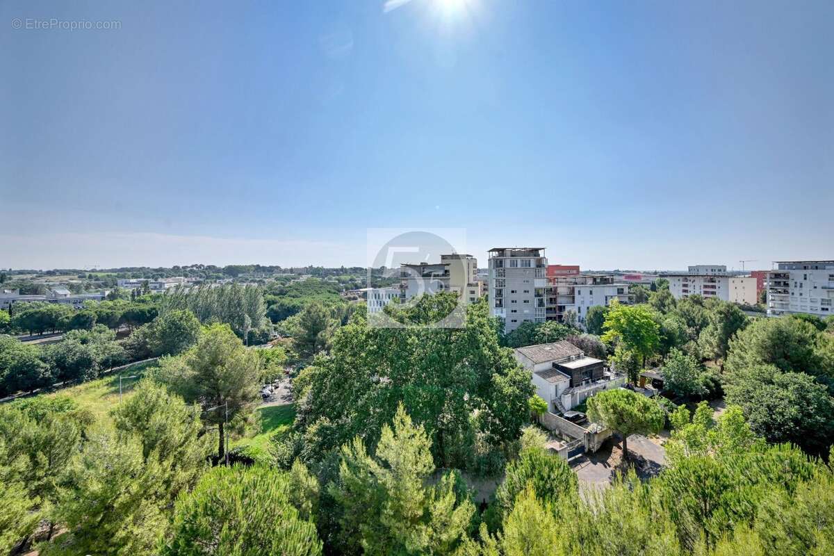 Penthouse / vue panoramique - photo 2