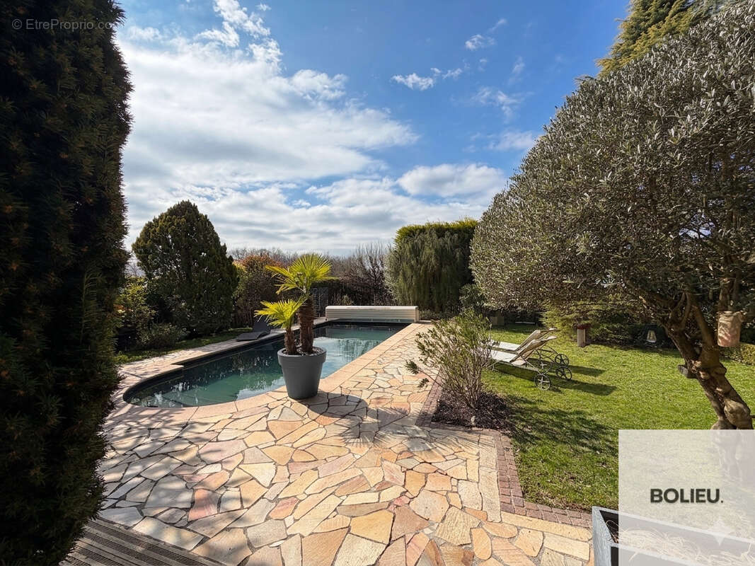 Cranves-Sales - Spacieuse villa avec piscine + Dépendances - photo 25