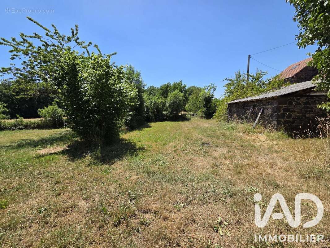 Photo 4 - Maison à MANZAT