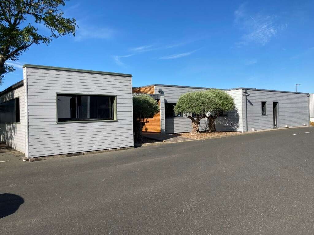 Local d'activite a vendre - photo 3