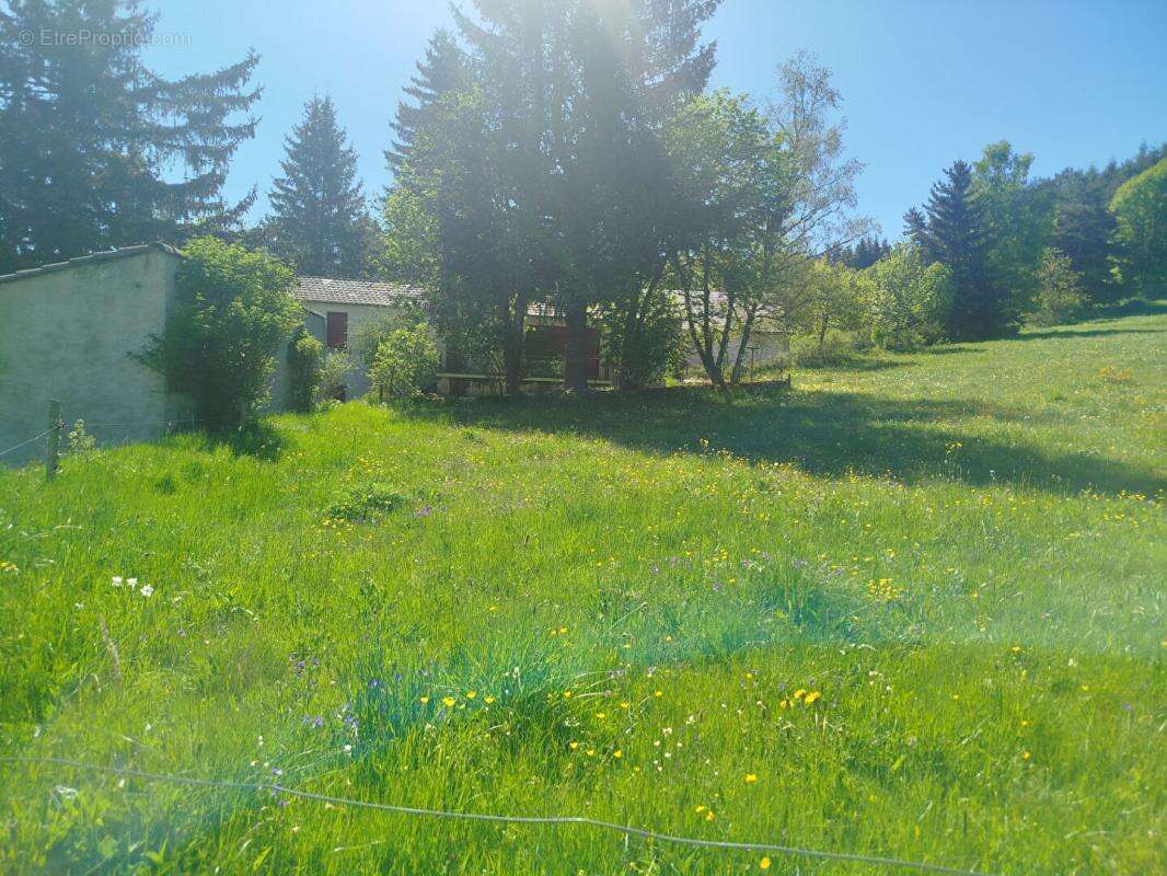 Terrain à CHAUDEYRAC