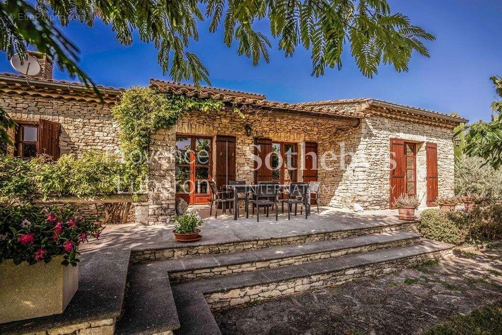 À Gordes, une oliveraie d’exception face au Luberon - photo 3