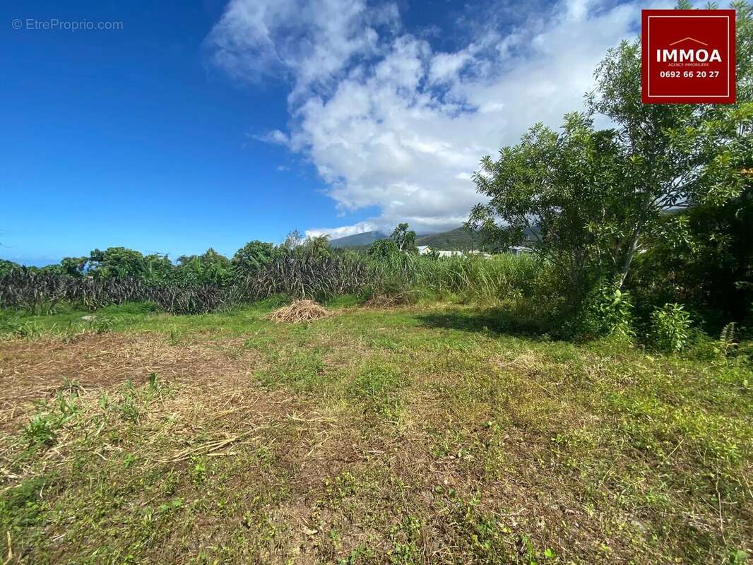 Terrain à LE TAMPON