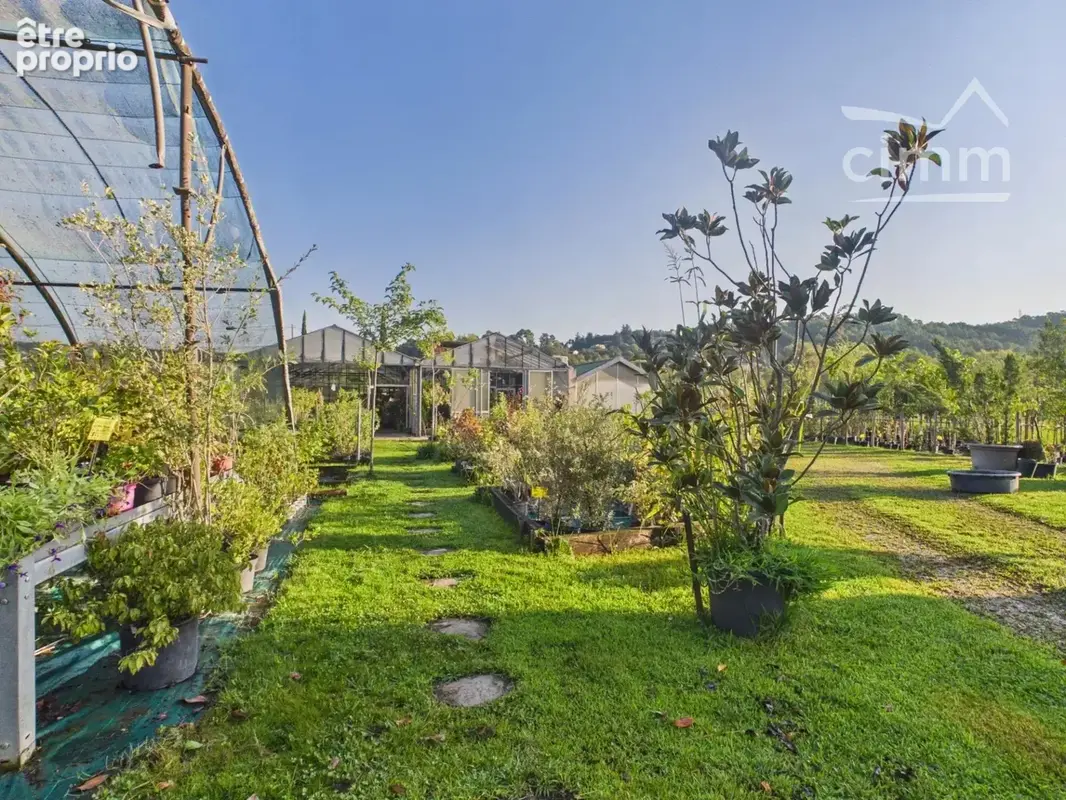 Jardinerie / Pépinière – Murs et Fonds de commerce – Sud Ardèche - photo 18
