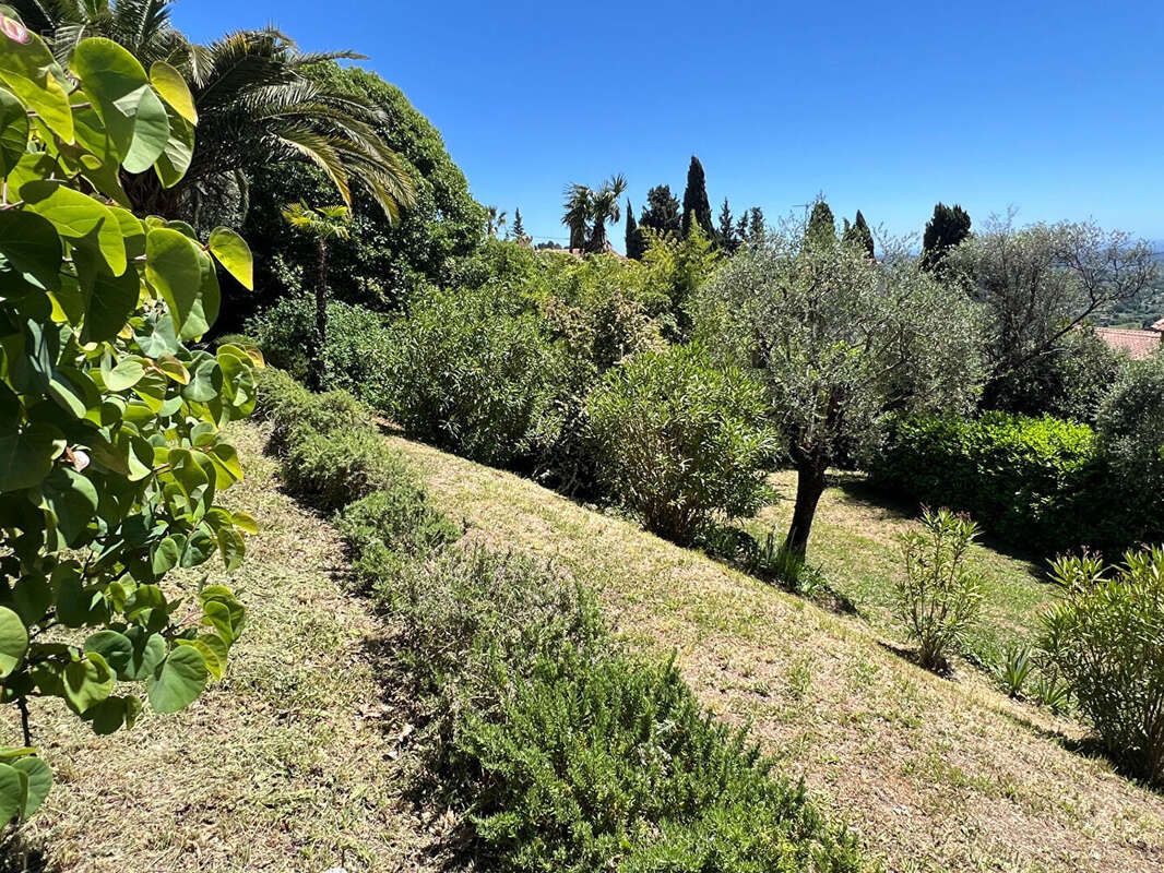 Magagnosc : Maison familiale avec vue mer exceptionnelle - photo 17