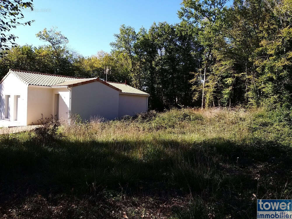 Terrain à PRANZAC