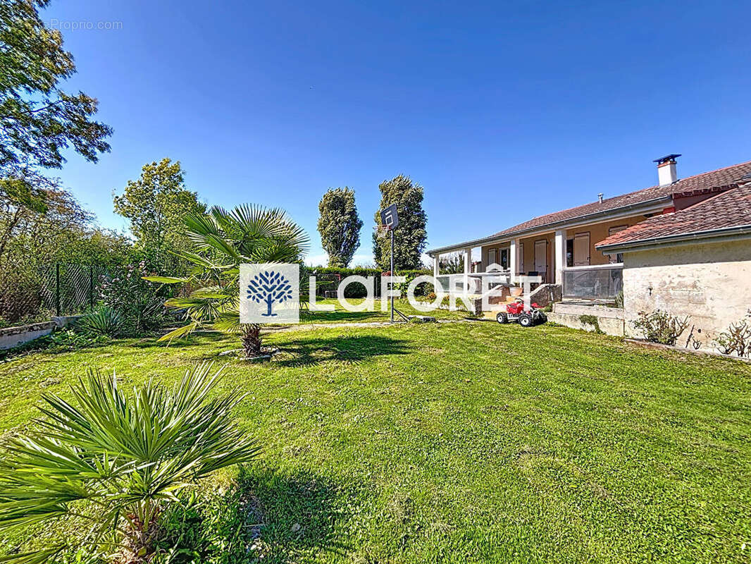 Maison à VILLARS-LES-DOMBES