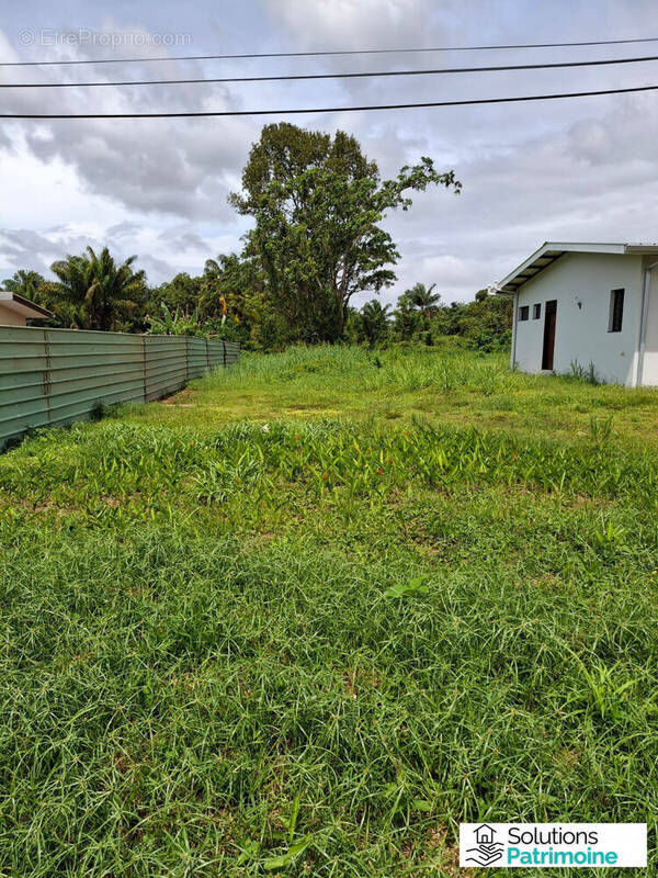 Entrée de la parcelle à vendre - Terrain à MATOURY