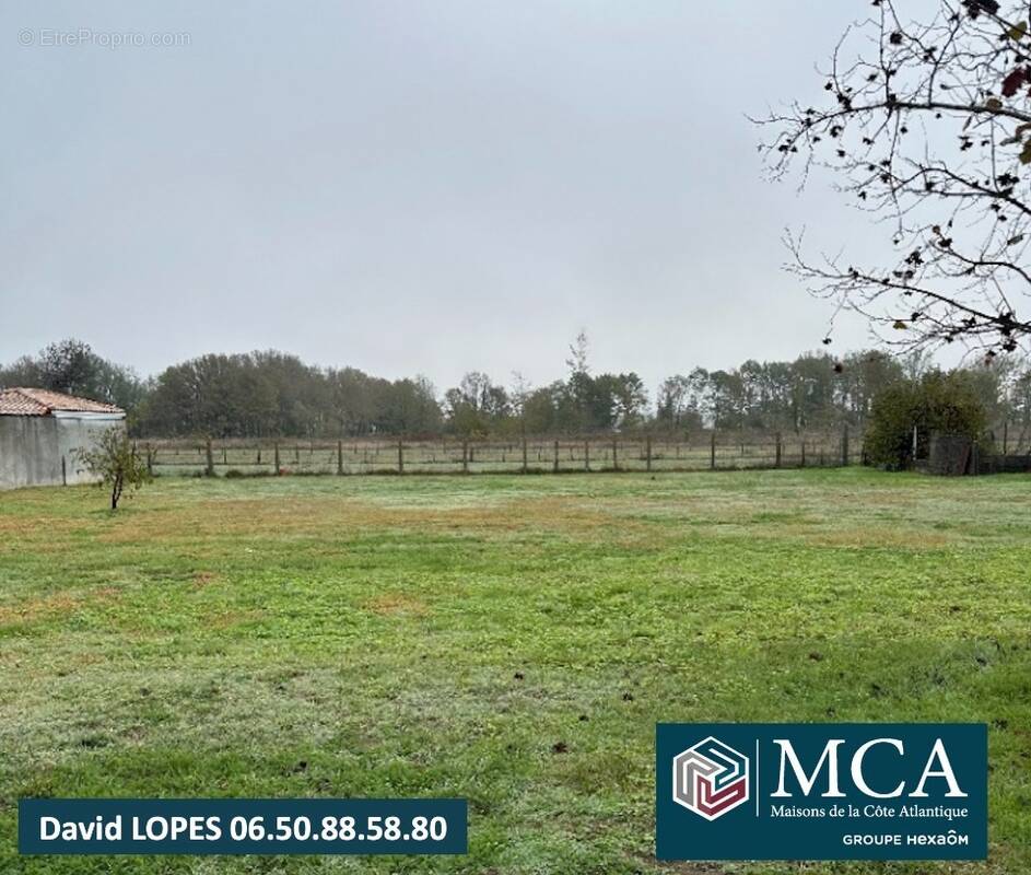 Terrain à SAINT-MARTIN-DU-BOIS