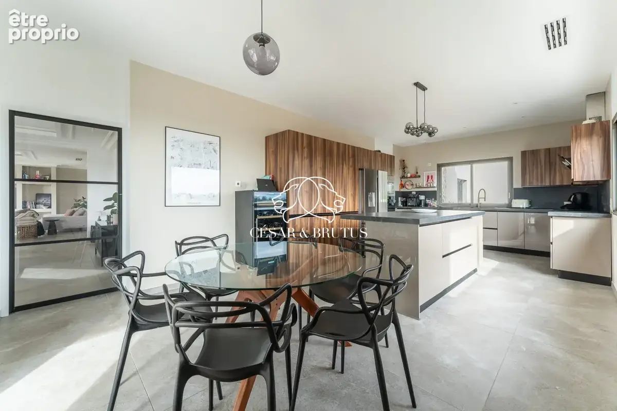 Maison 12 pièces 287 m² à vendre à Chavanoz (38230) - photo 8