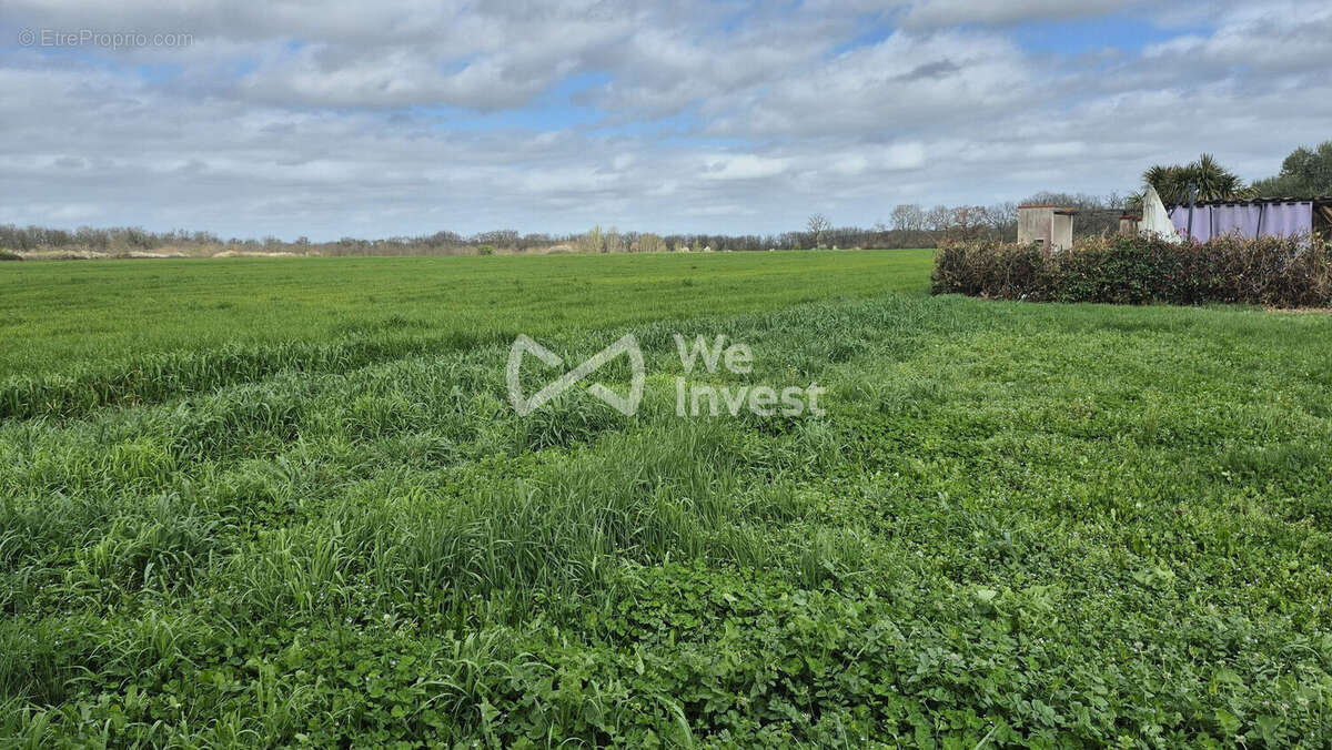 Terrain à MONDONVILLE