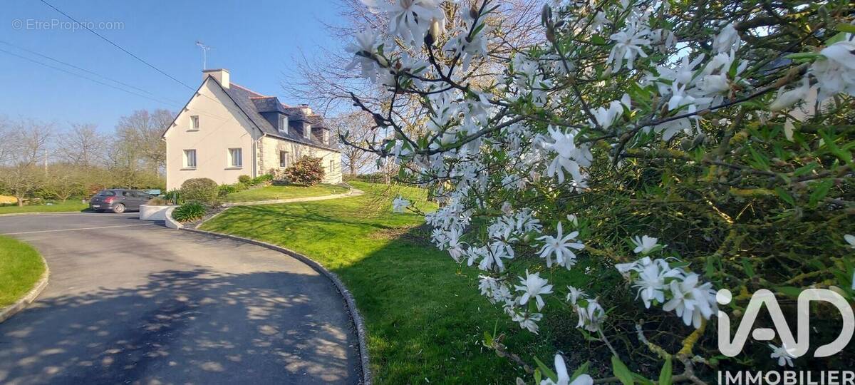 Photo 1 - Maison à SAINT-ALBAN