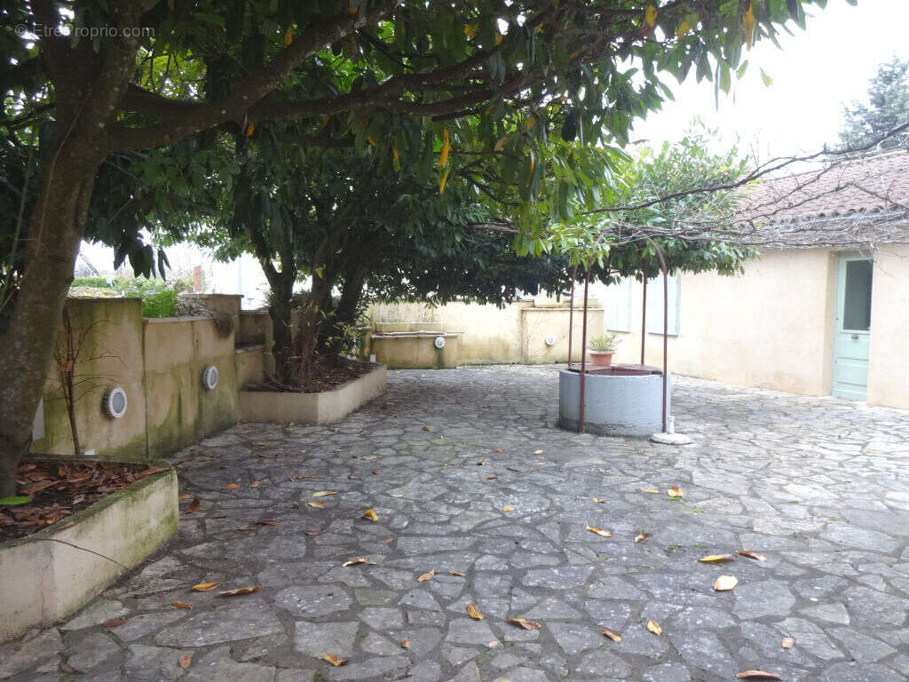 cour avec puit - Maison à LUZECH