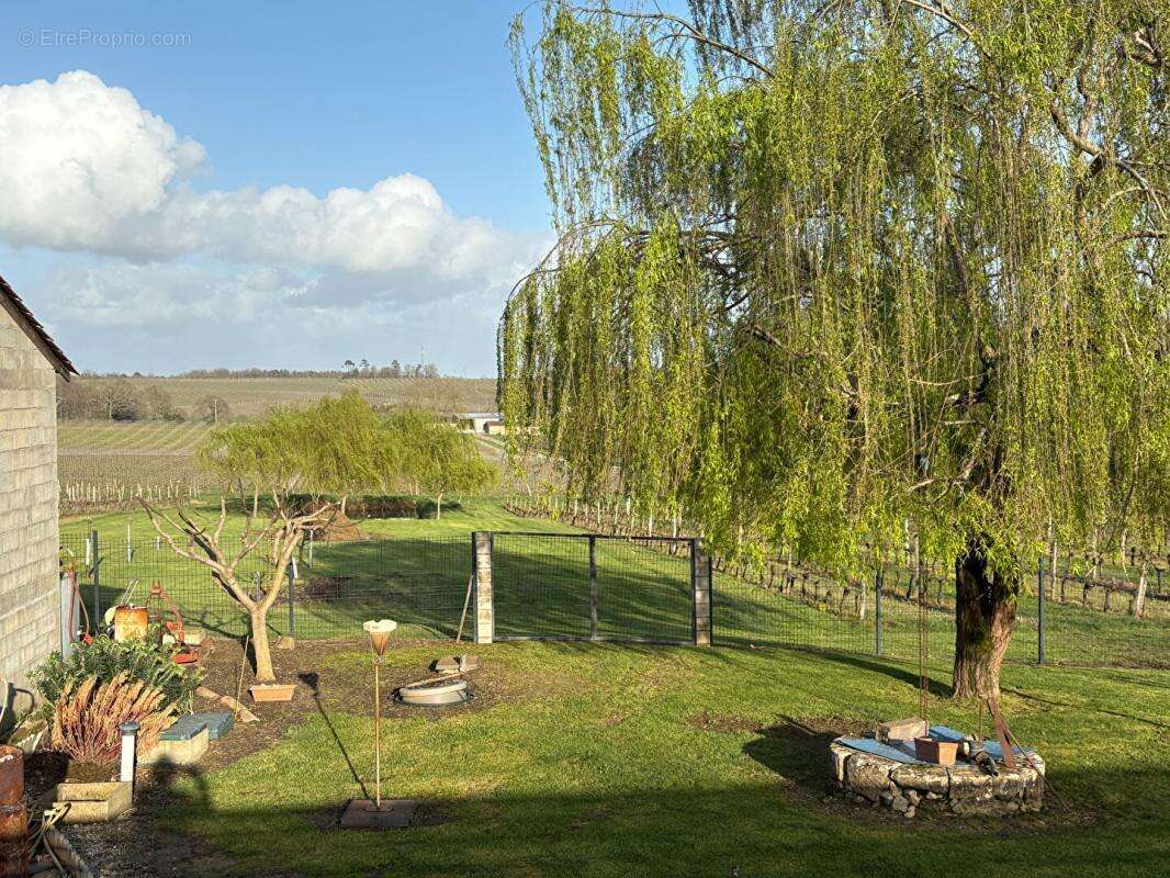 Maison à SAUVETERRE-DE-GUYENNE