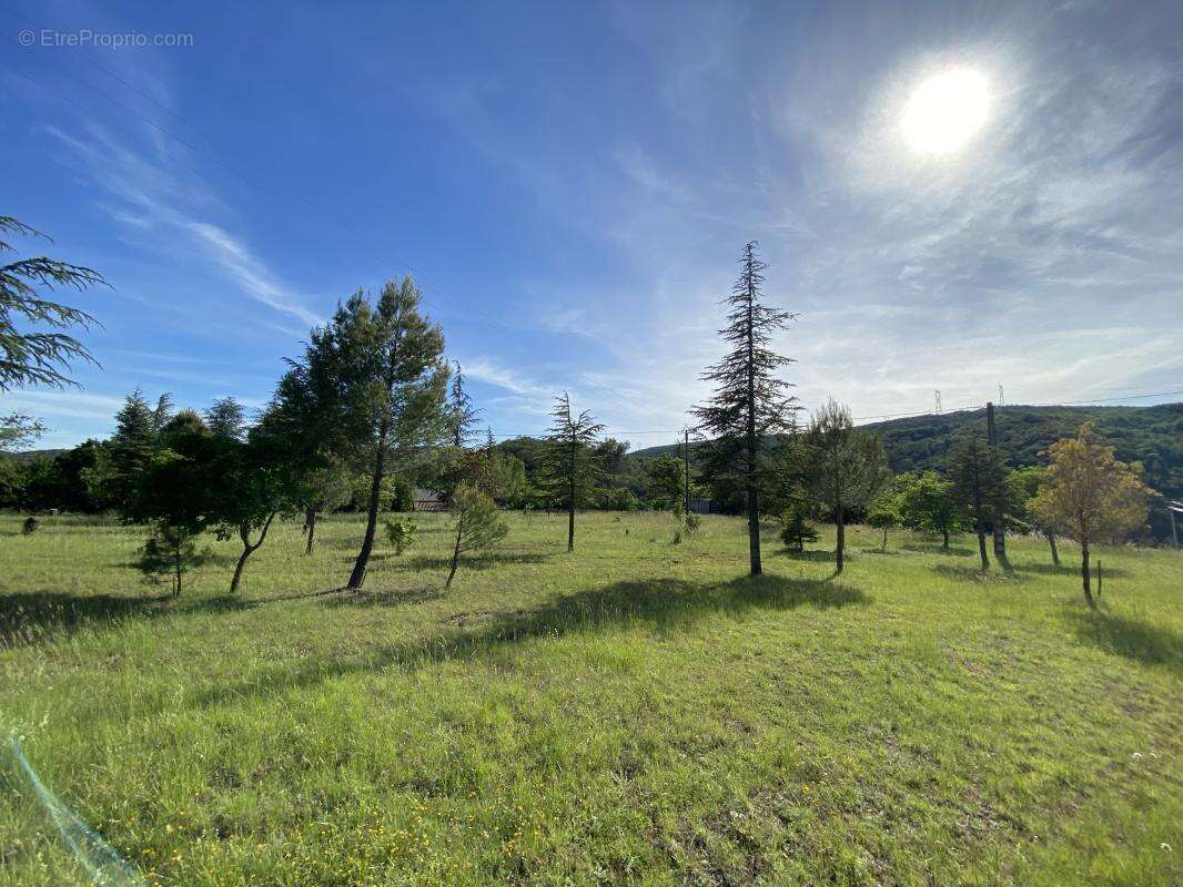 Terrain à LE TEIL