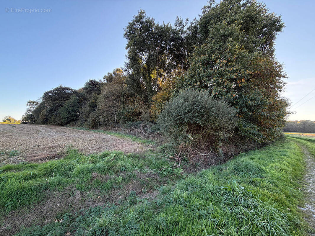 Terrain à GUILLIERS
