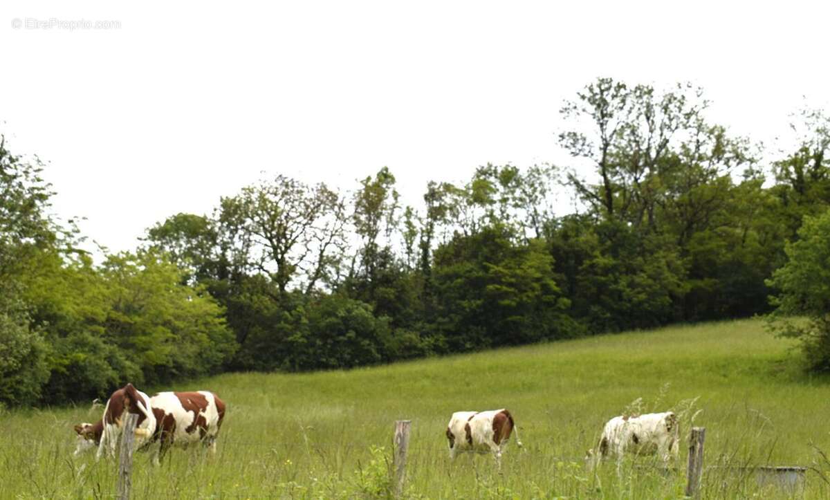 Maison à SAINT-JULIEN