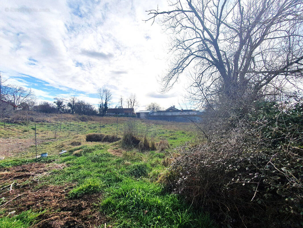 Terrain à VILLEBRET