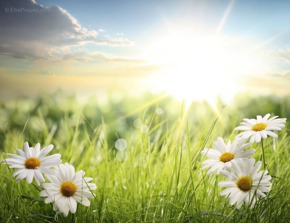 Terrain à ANNECY-LE-VIEUX