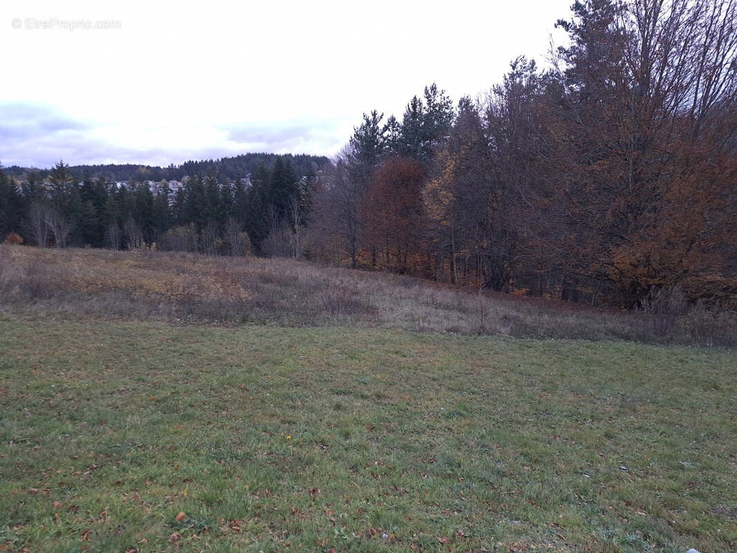 Terrain à LE CHAMBON-SUR-LIGNON