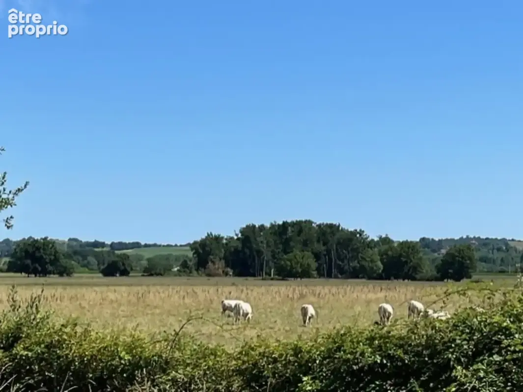 PLAISANCE (32): belle MAISON DE CAMPAGNE XIX de 115m2 environ SANS TRAVAUX, SANS VIS A VIS, lumineuse, sur un terrain arboré et  - photo 19