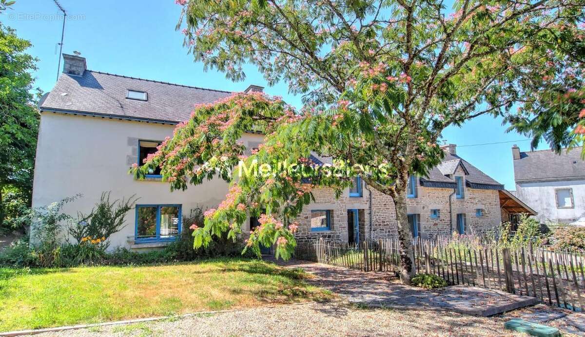 Longère à Arzano 287 m², deux maisons, 7 chambres, grand terrain - photo 20