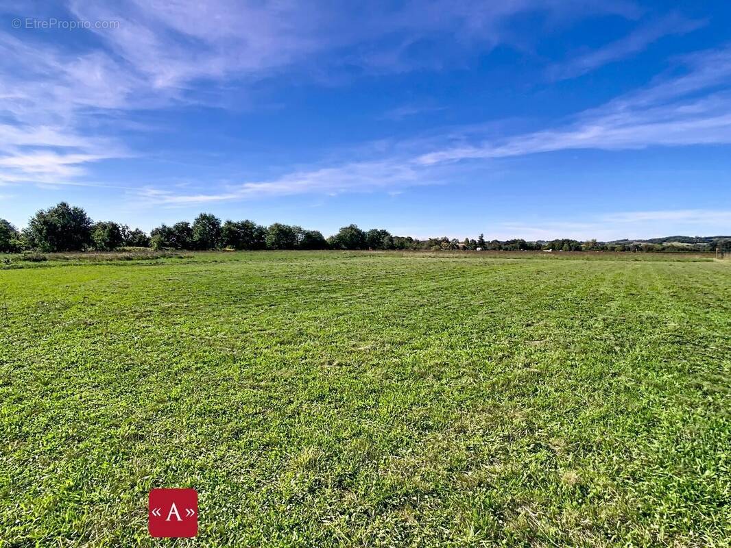 Terrain à LISLE-SUR-TARN