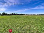 Terrain à LISLE-SUR-TARN